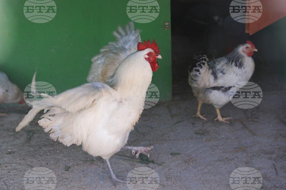 Божурище - градина „Вдъхновение”