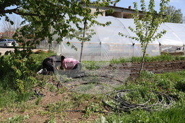 Божурище - градина „Вдъхновение”