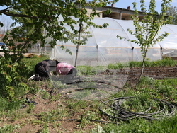 Божурище - градина „Вдъхновение”