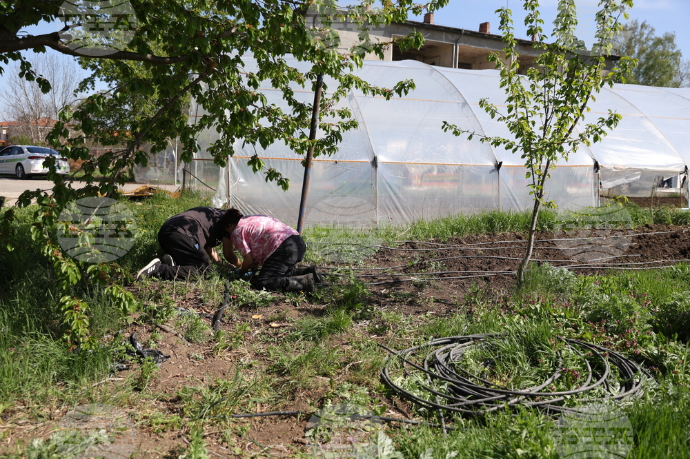 Божурище - градина „Вдъхновение”