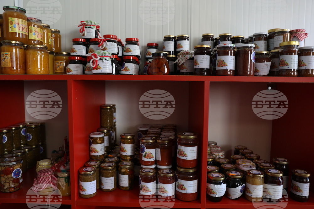 Божурище - градина „Вдъхновение”