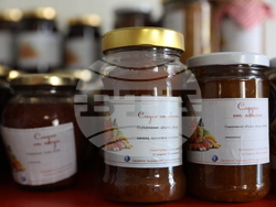 Божурище - градина „Вдъхновение”