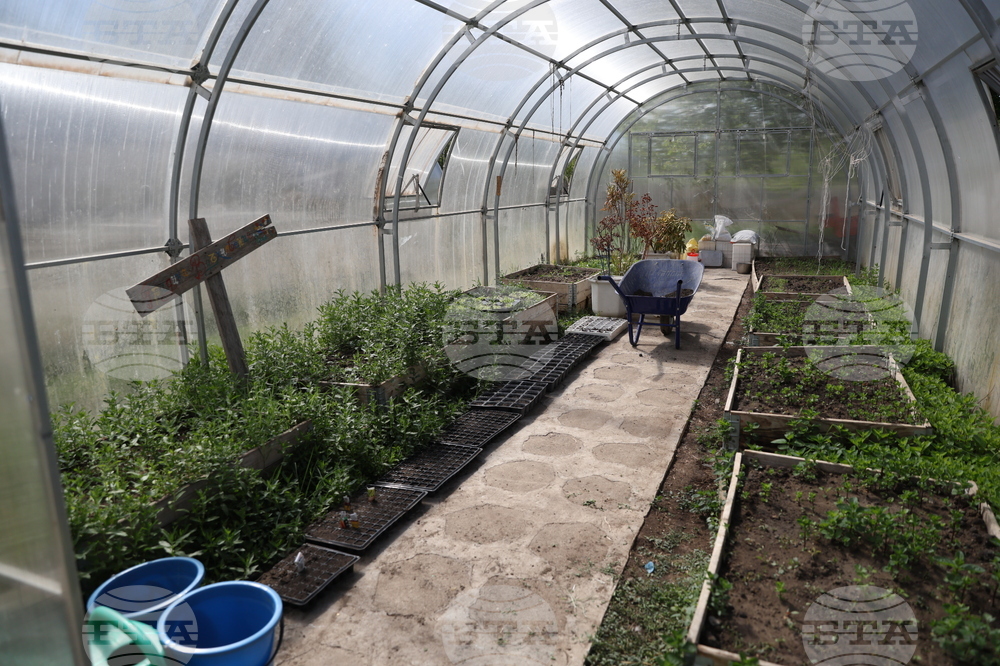 Божурище - градина „Вдъхновение”