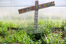 Божурище - градина „Вдъхновение”