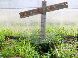 Божурище - градина „Вдъхновение”