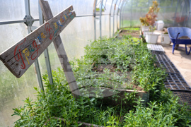 Божурище - градина „Вдъхновение”