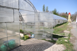 Божурище - градина „Вдъхновение”