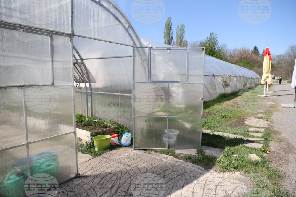 Божурище - градина „Вдъхновение”