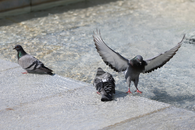 The Weather on July 23