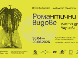 Художничката Александра Чаушова и куратора Десислава Димова представят изложба в София. Снимка: Галерия „Васка Емануилова“