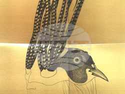 Художничката Александра Чаушова и куратора Десислава Димова представят изложба в София. Снимка: Галерия „Васка Емануилова“