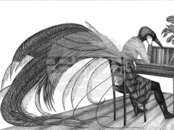 Художничката Александра Чаушова и куратора Десислава Димова представят изложба в София. Снимка: Галерия „Васка Емануилова“