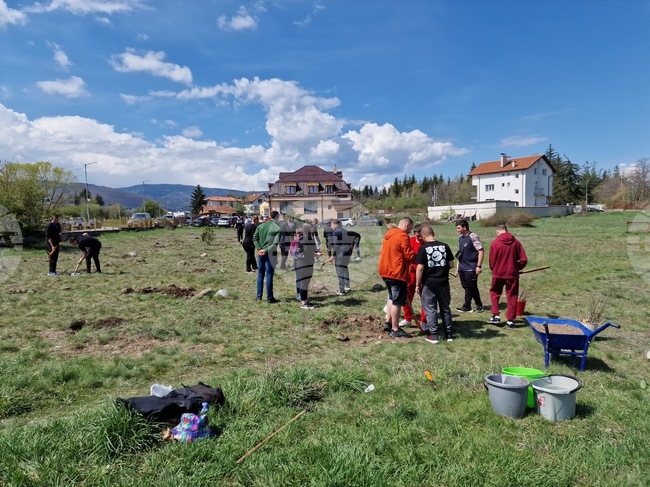 Самоков - Ден на Земята - фиданки - засаждане