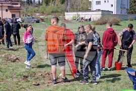 Самоков - Ден на Земята - фиданки - засаждане