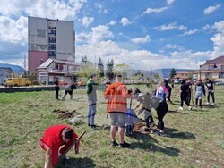 Самоков - Ден на Земята - фиданки - засаждане
