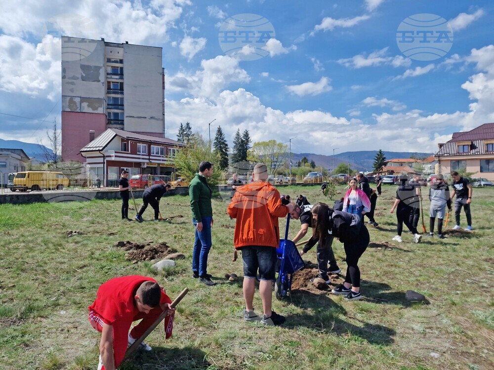 Ученици от самоковска гимназия засадиха фиданки в Деня на Земята