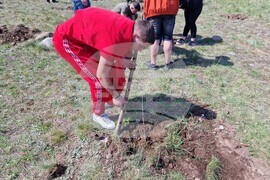 Самоков - Ден на Земята - фиданки - засаждане