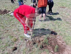 Самоков - Ден на Земята - фиданки - засаждане