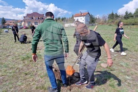 Самоков - Ден на Земята - фиданки - засаждане
