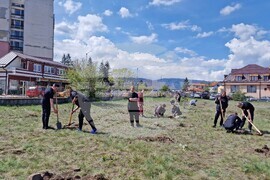 Самоков - Ден на Земята - фиданки - засаждане