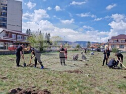 Самоков - Ден на Земята - фиданки - засаждане