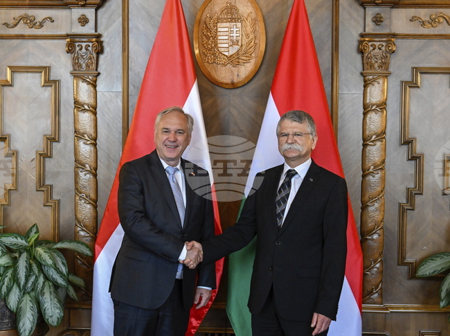 АПА: Председателят на австрийския парламент посети Будапеща и имаше разговори с Орбан