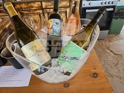 Русе - винен туризъм