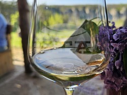 Русе - винен туризъм