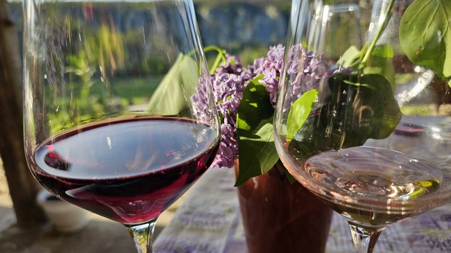 Northeastern Bulgaria Hosts Wine Open Days to Showcase Local Wineries and Heritage