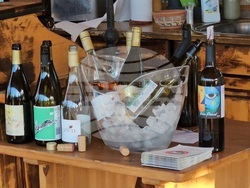 Русе - винен туризъм