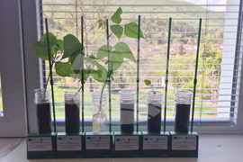 Село Дебнево - СТЕМ център - откриване