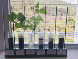 Село Дебнево - СТЕМ център - откриване