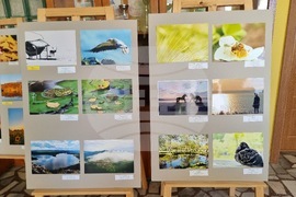 Кърджали - Международен ден на Земята - отбелязване