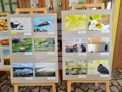 Кърджали - Международен ден на Земята - отбелязване