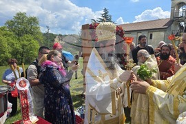 Роженски манастир - патриарх Даниил - „Света Богородица Портаитиса“ - чудотворната икона - честване
