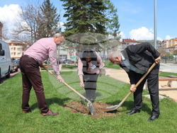 Снимка: Община Ардино