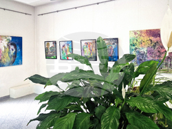 Хасково - галерия „Форум“ - изложба на Светлозар Недев