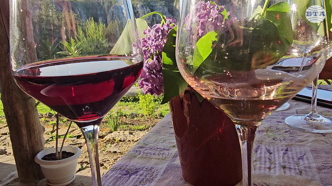 Виненият туризъм в България има потенциал като този във Франция, Италия и Испания, каза за БТА виненият експерт Анелия Христова от Русе