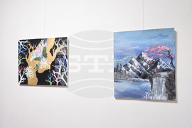 Плевен - изложба на ученици