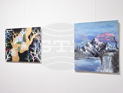 Плевен - изложба на ученици