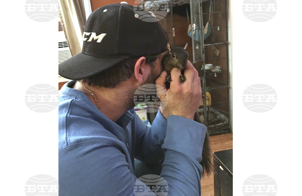 Squirrel Seized