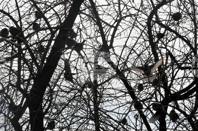 Прогноза за времето