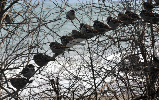 The Weather on November 21