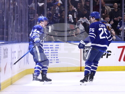 Senators Maple Leafs Hockey