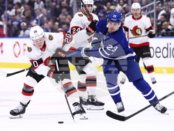 Senators Maple Leafs Hockey