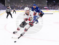Senators Maple Leafs Hockey
