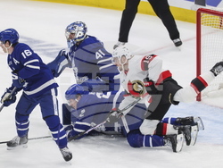 Senators Maple Leafs Hockey