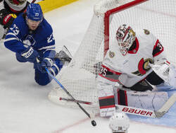 Senators Maple Leafs Hockey