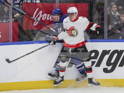 Senators Maple Leafs Hockey