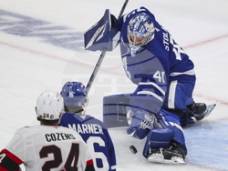 Senators Maple Leafs Hockey